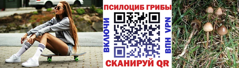 Галлюциногенные грибы Psilocybine cubensis  Среднеколымск 